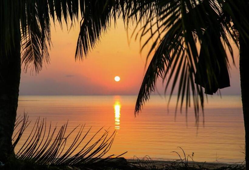 ホテル Zee Luxury Boutique