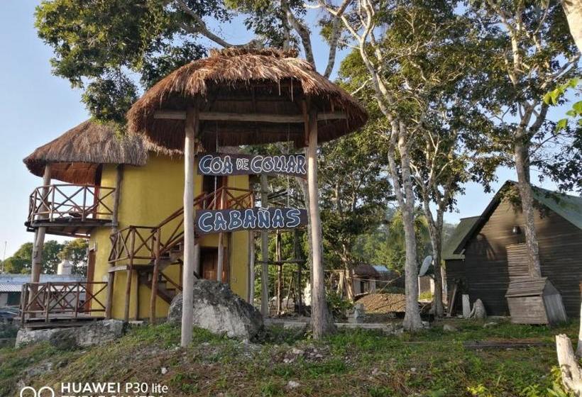 پانسیون Coa De Collar