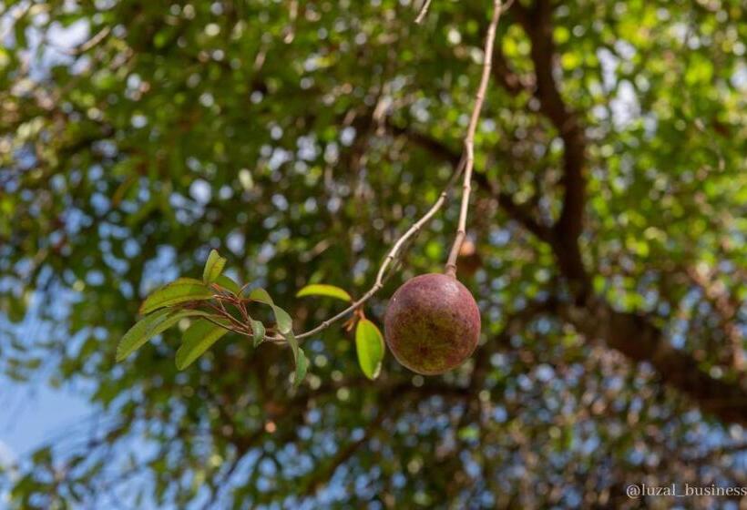 پانسیون Mangabeira Logde