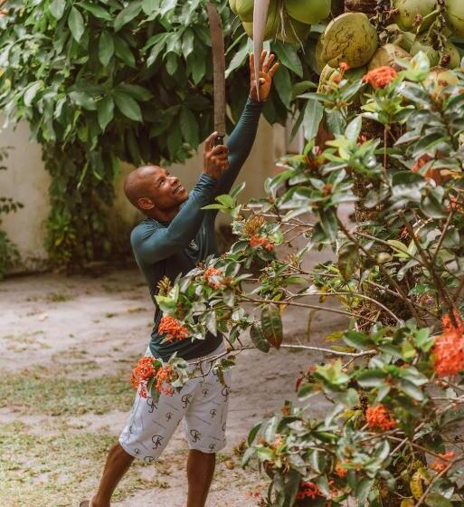 پانسیون Mangabeira Logde