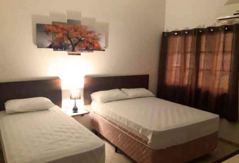 膳宿费 La Vega Pousada