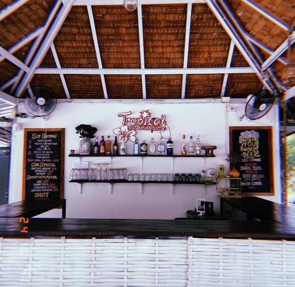 Tropical Hostel