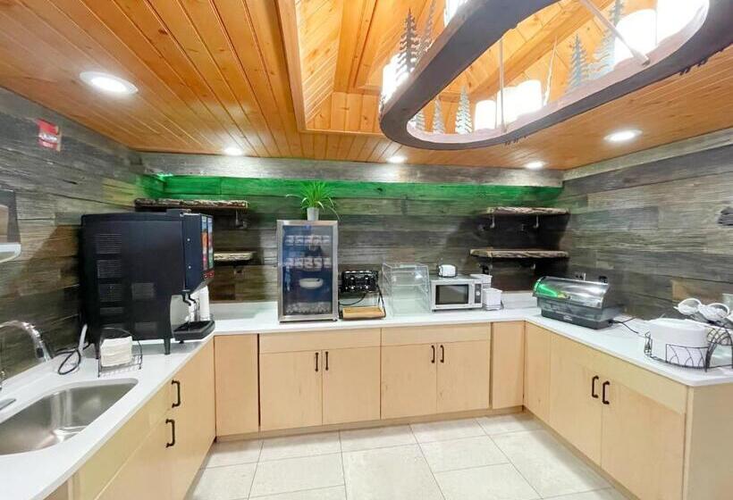 酒店 Baymont By Wyndham Gatlinburg On The River