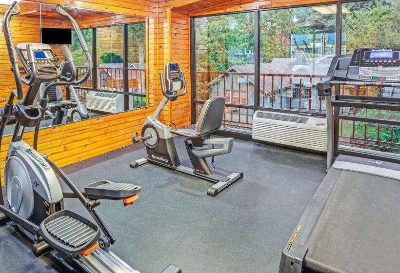 酒店 Baymont By Wyndham Gatlinburg On The River