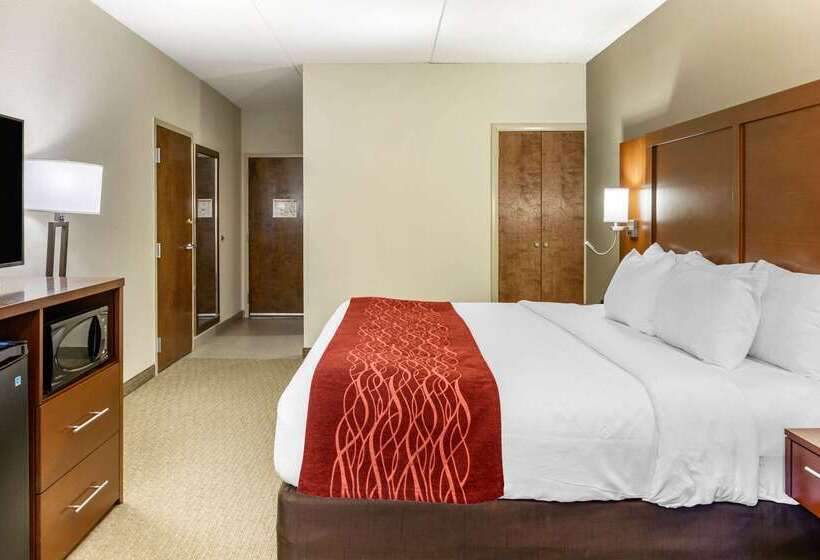 ホテル Comfort Inn Lancaster At Rockvale