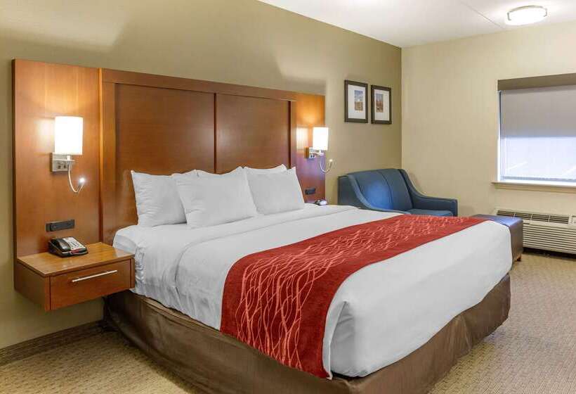 ホテル Comfort Inn Lancaster At Rockvale