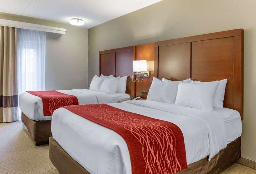 ホテル Comfort Inn Lancaster At Rockvale