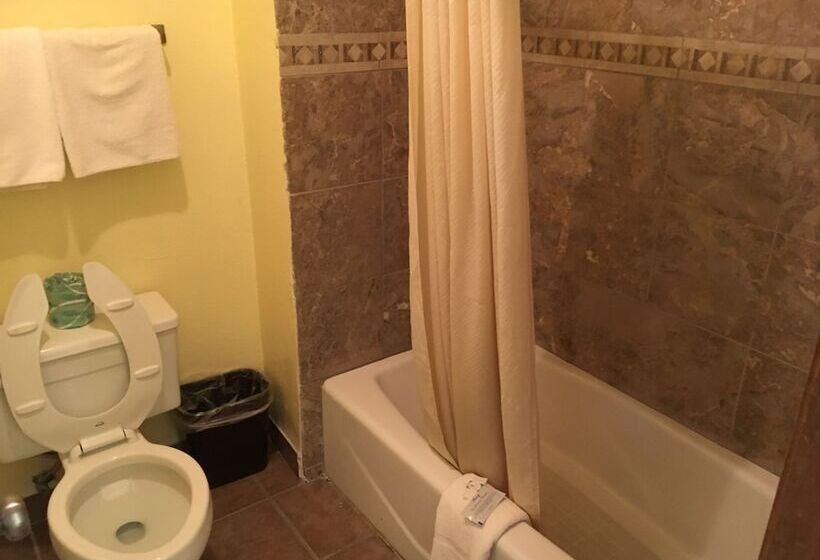 ホテル Executive Inn Odessa