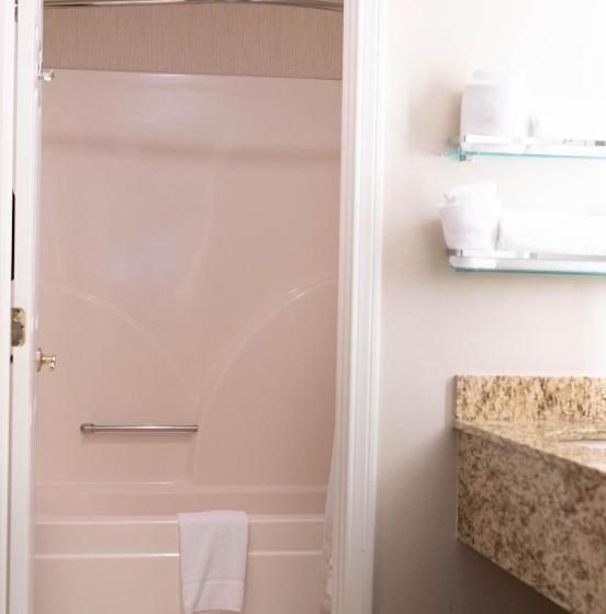 בית מלון כפרי Hawthorn Suites By Wyndham Erie