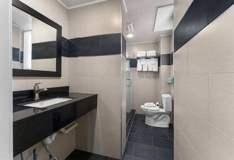 호텔 Quality Inn Center City