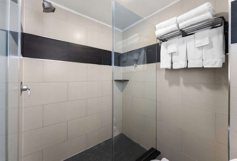 호텔 Quality Inn Center City