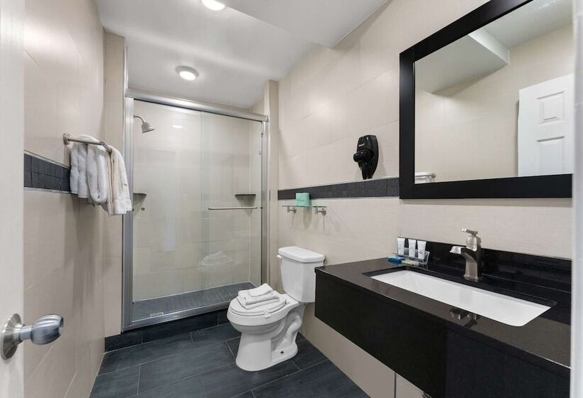 호텔 Quality Inn Center City