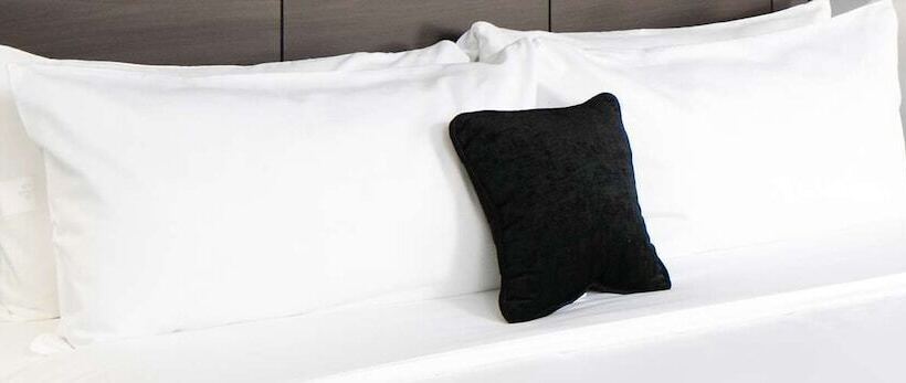 호텔 Quality Inn Center City