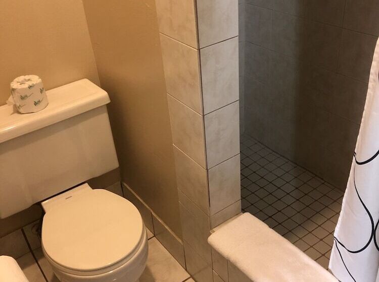 Отель Riverside Inn Dallas