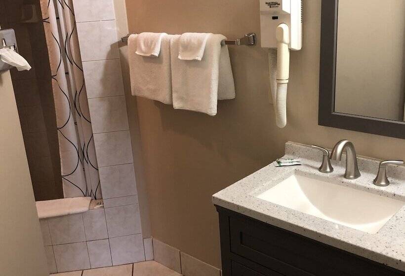 호텔 Riverside Inn Dallas