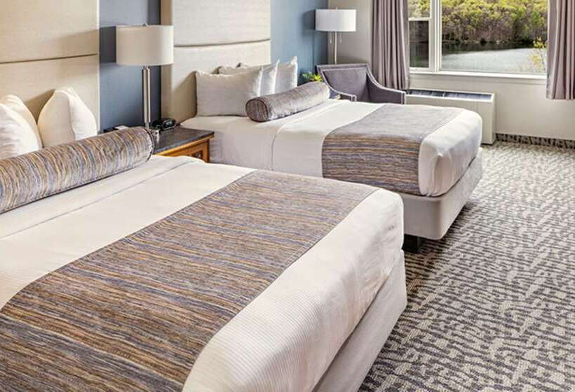 酒店 Rocky Gap Casino & Resort