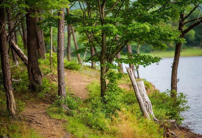 酒店 Rocky Gap Casino & Resort