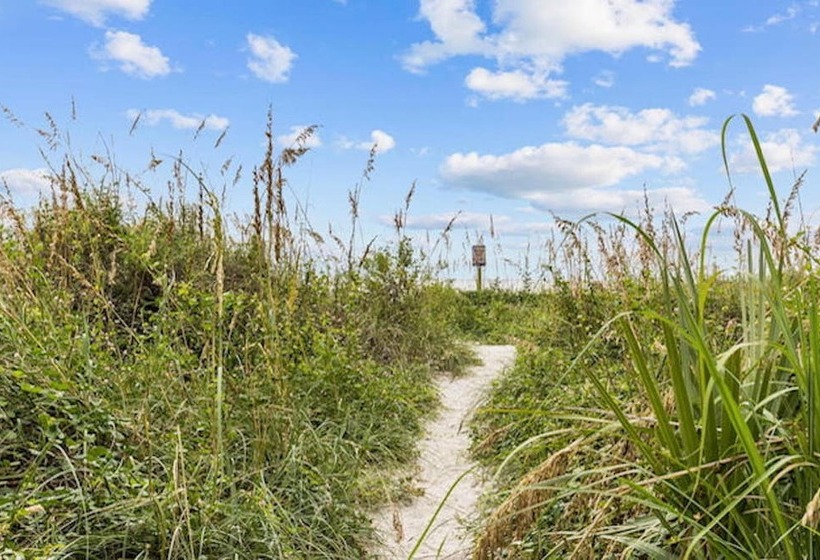 בית מלון כפרי The Red Tree Inn