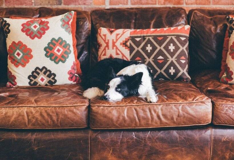 The Remington Suite Hotel And Spa