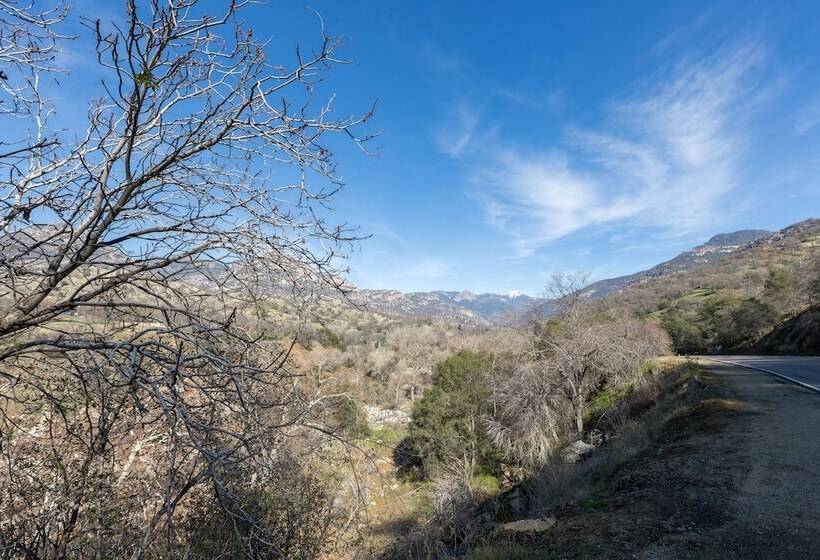 فندق The River Inn