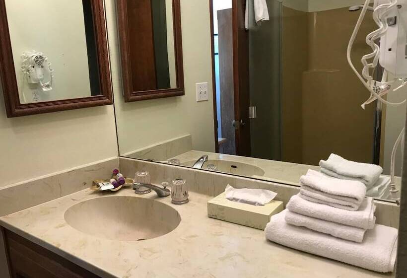 فندق The River Inn