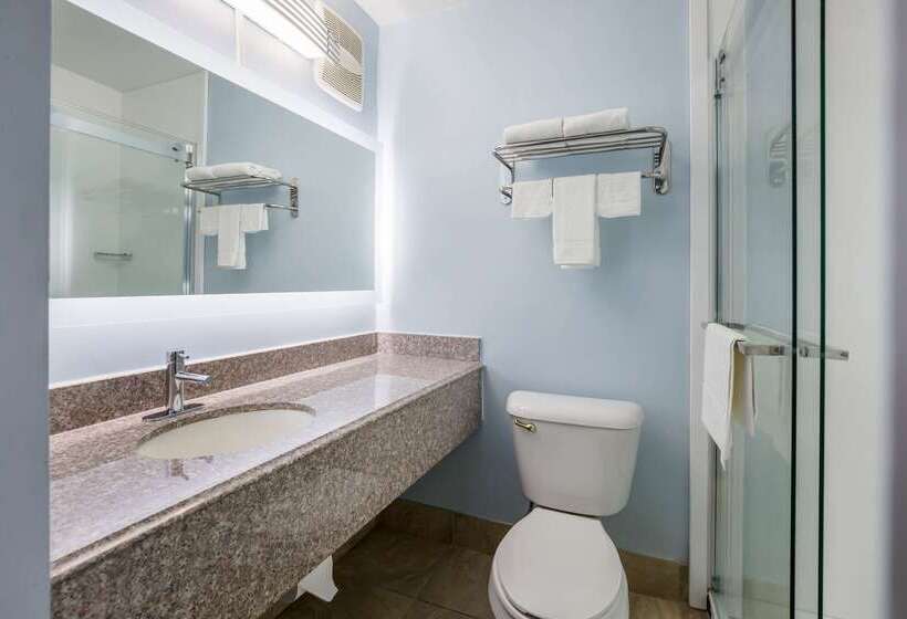 فندق على الطريق Rodeway Inn