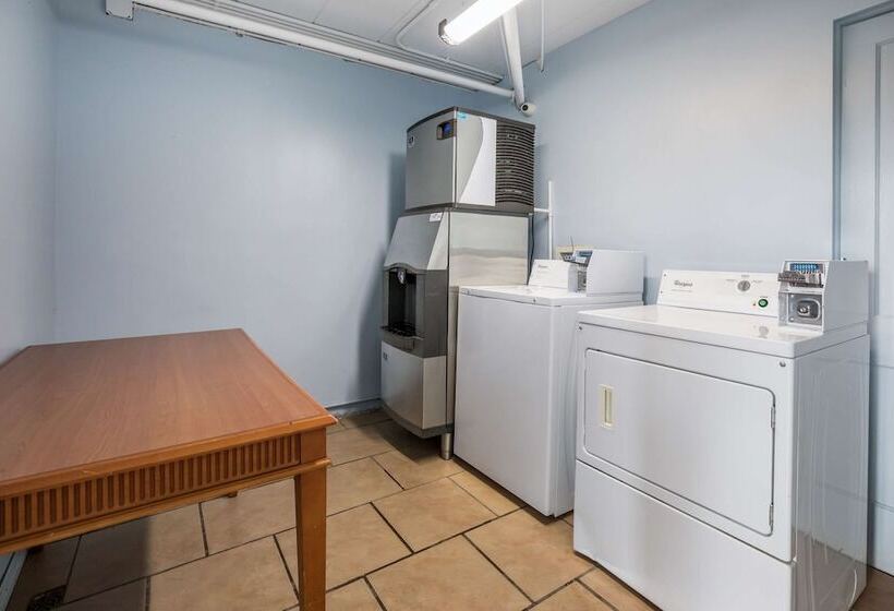 فندق على الطريق Rodeway Inn