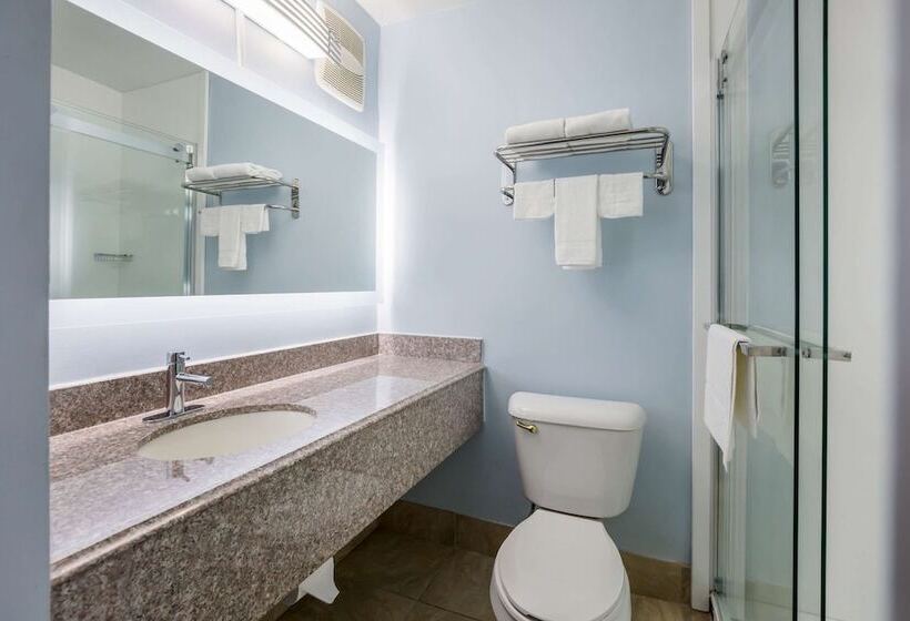 فندق على الطريق Rodeway Inn