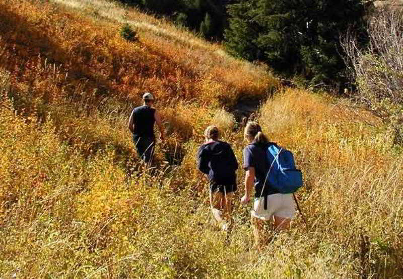 Residence Inn Denver Southwest/lakewood