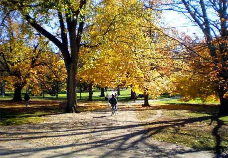 Residence Inn Lansing West