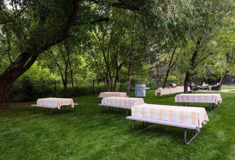 Residence Inn By Marriott Provo