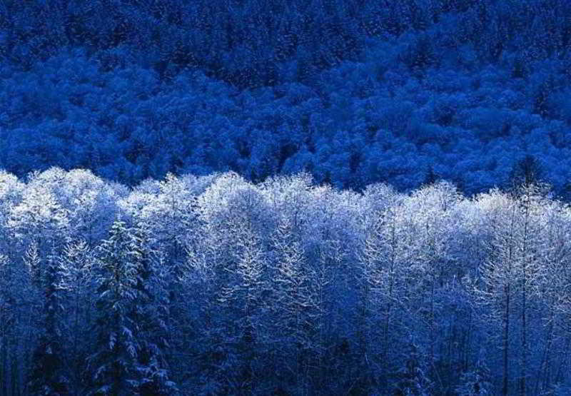 Residence Inn Salt Lake City Airport