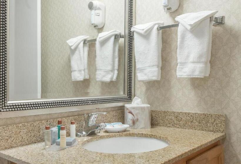 اقامتگاه Value Suites Extended Stay   St Louis