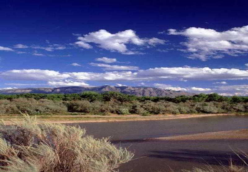 住所  Sonesta Es Suites Albuquerque