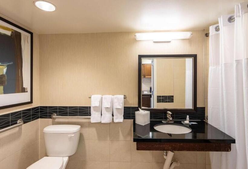 اقامتگاه Sonesta Es Suites Chicago Downtown Magnificent Mile  Medical