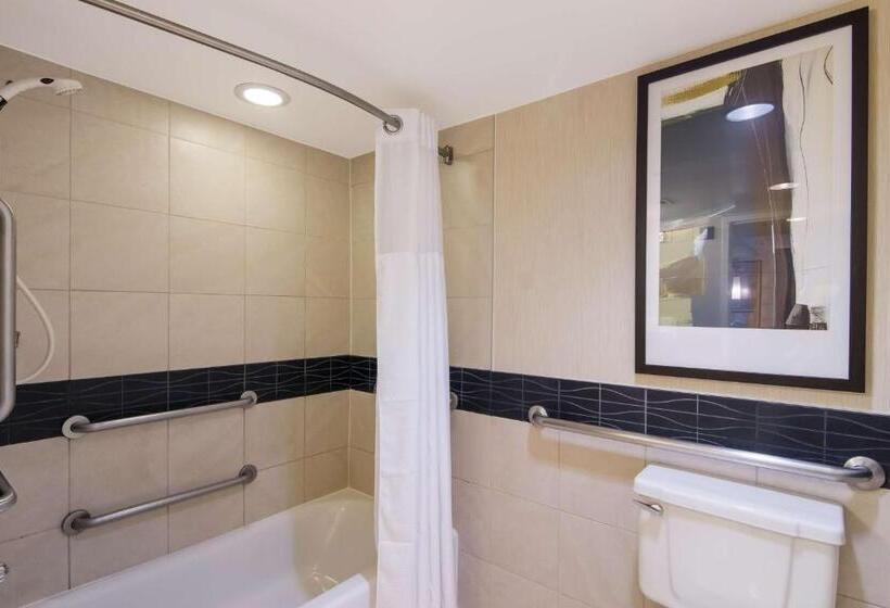 اقامتگاه Sonesta Es Suites Chicago Downtown Magnificent Mile  Medical