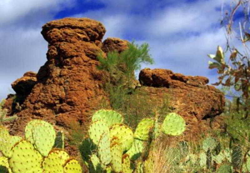 اقامتگاه Sonesta Es Suites Tempe