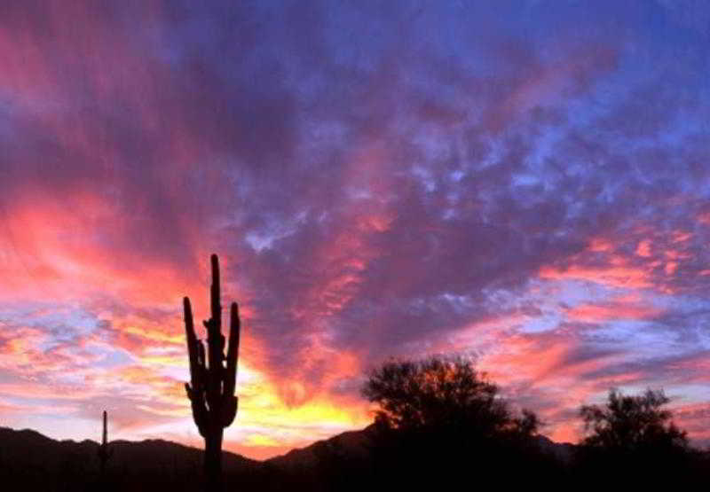 اقامتگاه Sonesta Es Suites Tempe