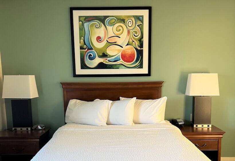 住所 Trellis Herndon