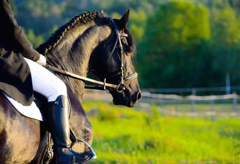 فندق وادي القلط