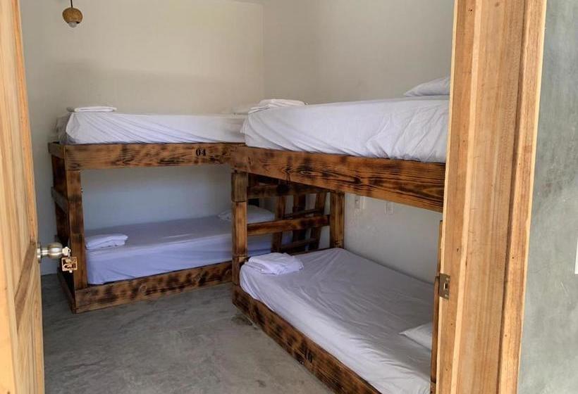 Общежитие Valhalla Beach House