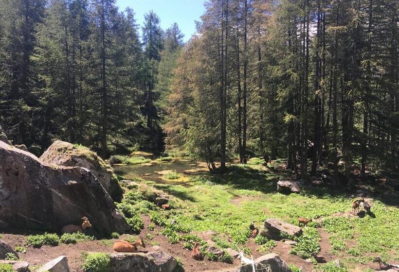 Bed and Breakfast Montagn'arcs