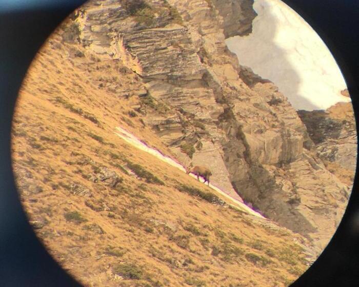 تختخواب و صبحانه Montagn'arcs