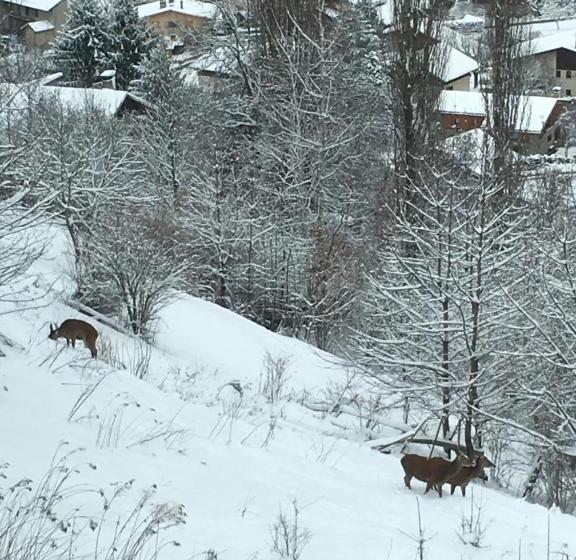 Bed and Breakfast Montagn'arcs