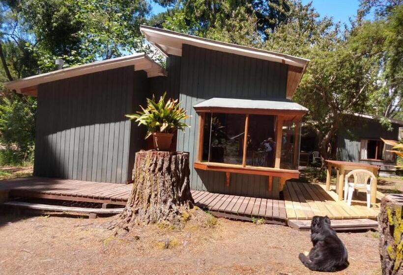 Cabañas Vista Al Lago