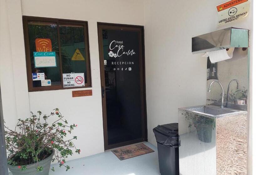 酒店 Carlota Tamarindo