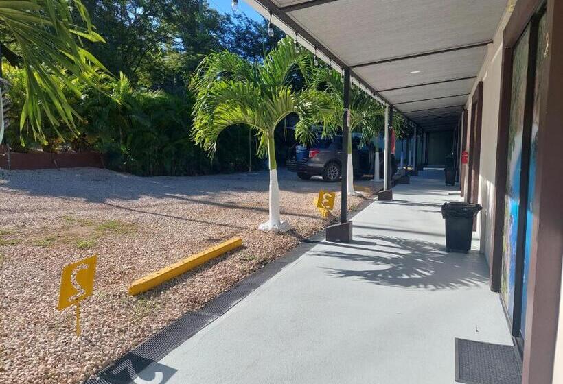 酒店 Carlota Tamarindo