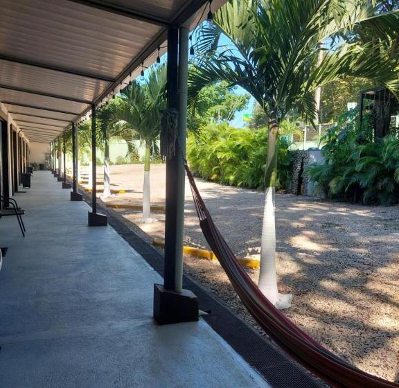 酒店 Carlota Tamarindo