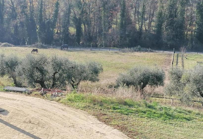 בית מלון כפרי Le Vecchie Scuderie