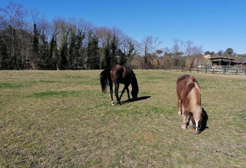 בית מלון כפרי Le Vecchie Scuderie